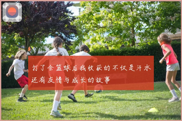打了会篮球后我收获的不仅是汗水还有友情与成长的故事