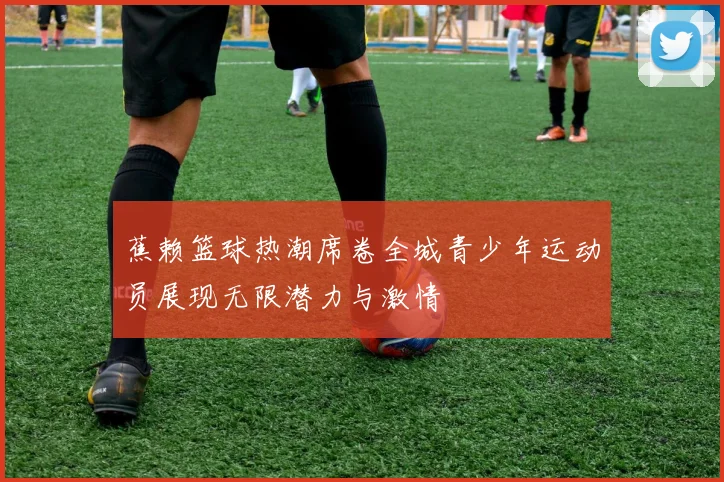 蕉赖篮球热潮席卷全城青少年运动员展现无限潜力与激情