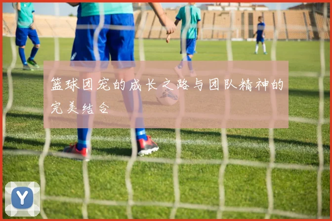 篮球团宠的成长之路与团队精神的完美结合