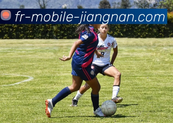 江南体育官网APP 封面图